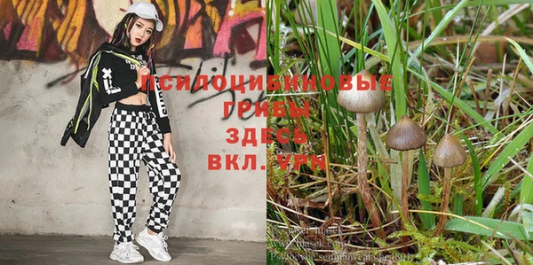 спиды Навашино