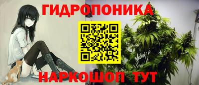 COCAINE Гай