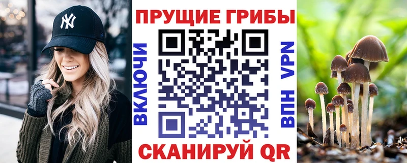 Галлюциногенные грибы Cubensis  blacksprut ТОР  Азов 