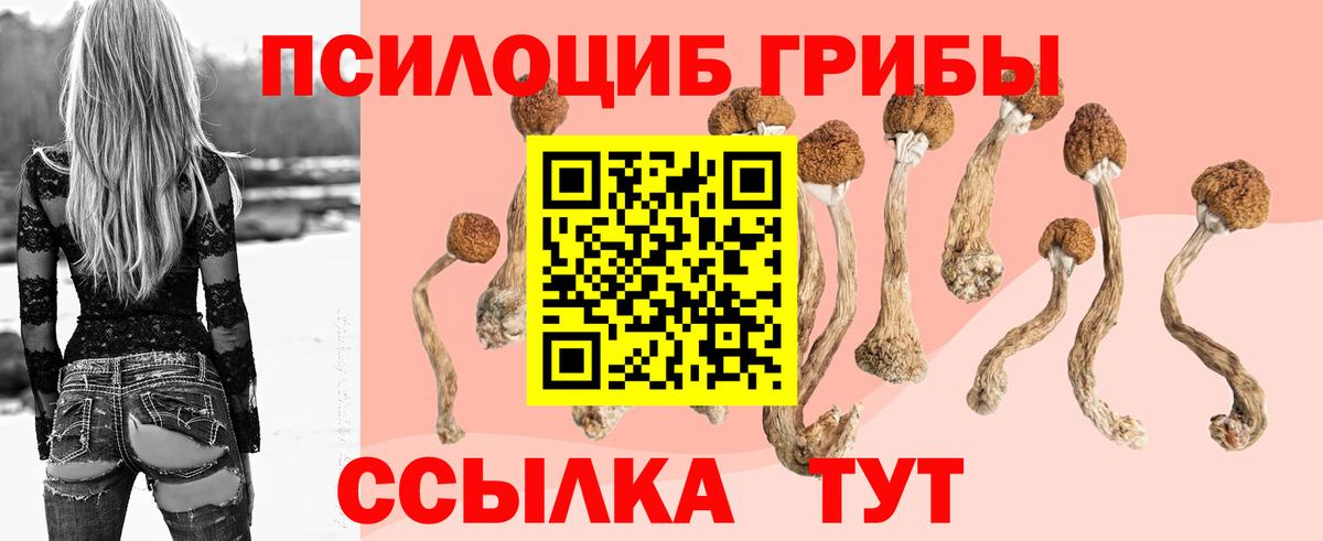 Галлюциногенные грибы прущие грибы Азов